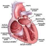 The human heart as a whole